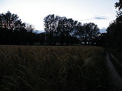 DSCF5045