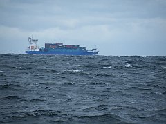 DSCF5135