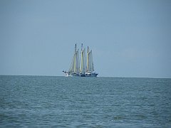 DSCF5236