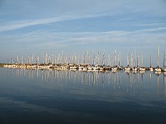 DSCF5240