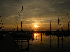 DSCF5245