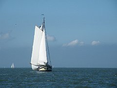 DSCF5262