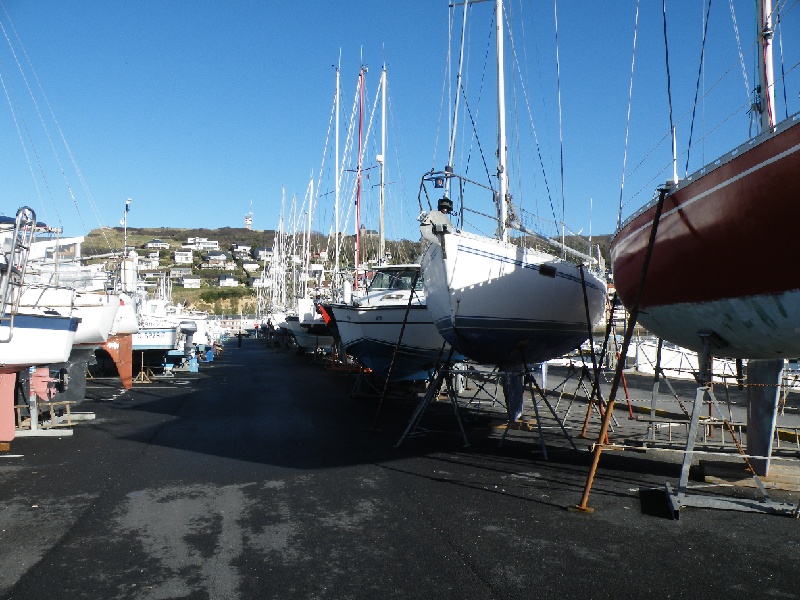 DSCF7441.JPG