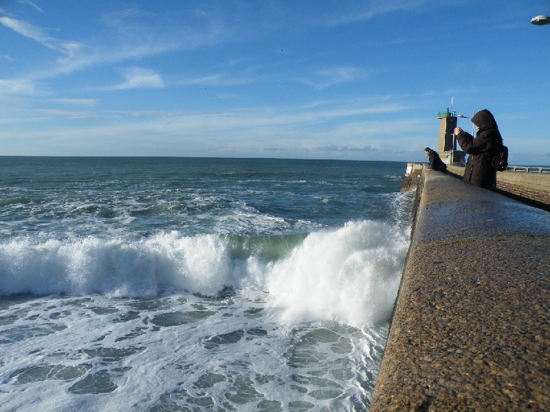 DSCF7456.JPG