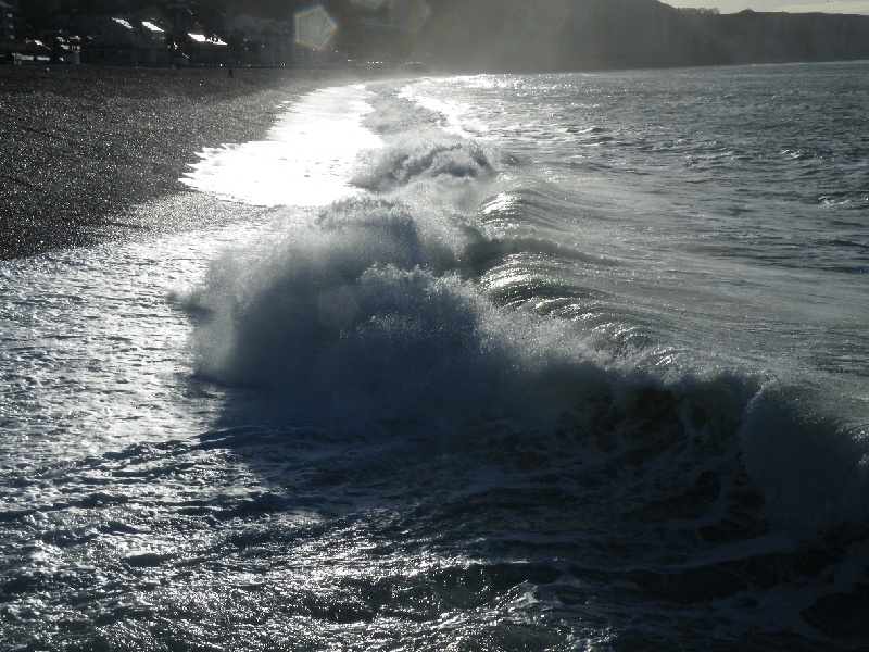 DSCF7457.JPG