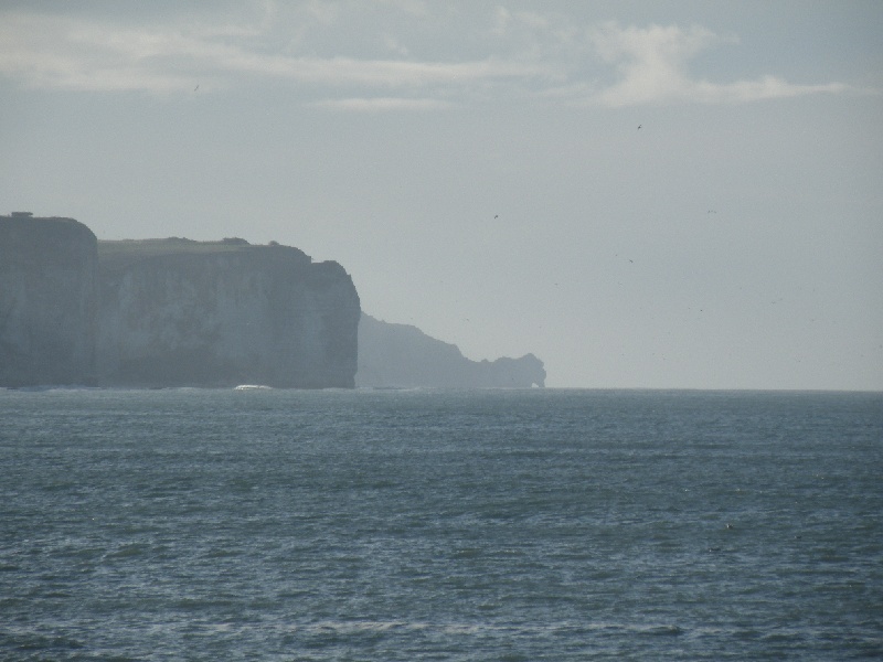 DSCF7460.JPG
