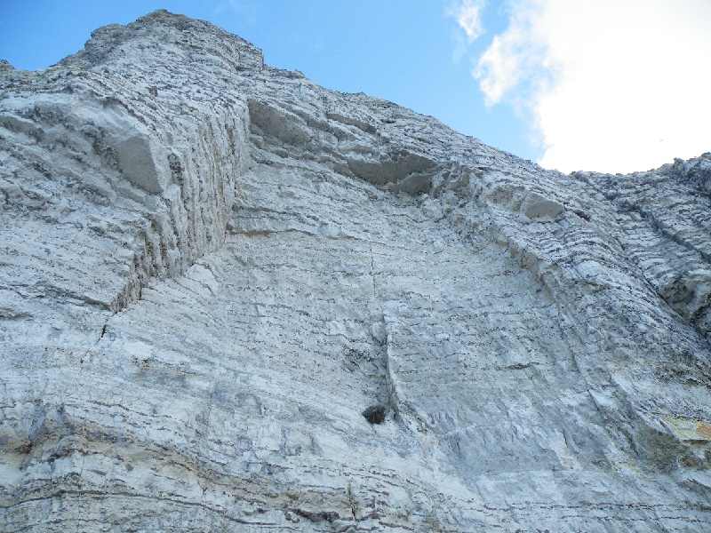 DSCF7474.JPG