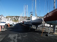 DSCF7441
