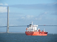 DSCF7517