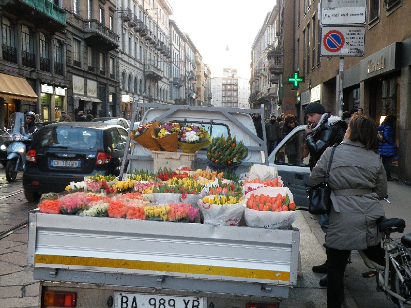 DSCF6203.JPG