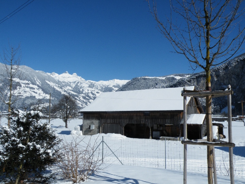 DSCF6208.JPG
