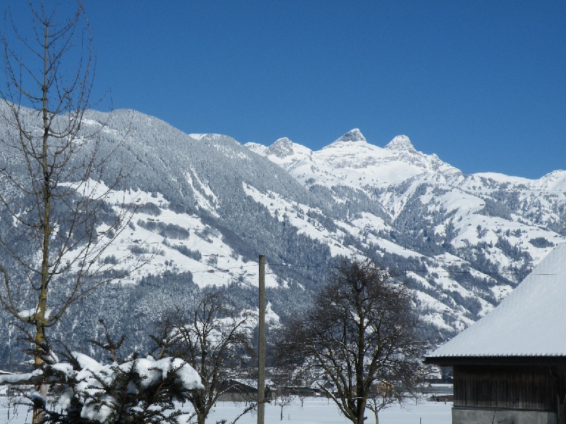 DSCF6209.JPG