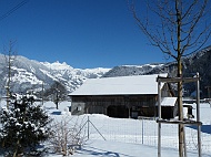 DSCF6208