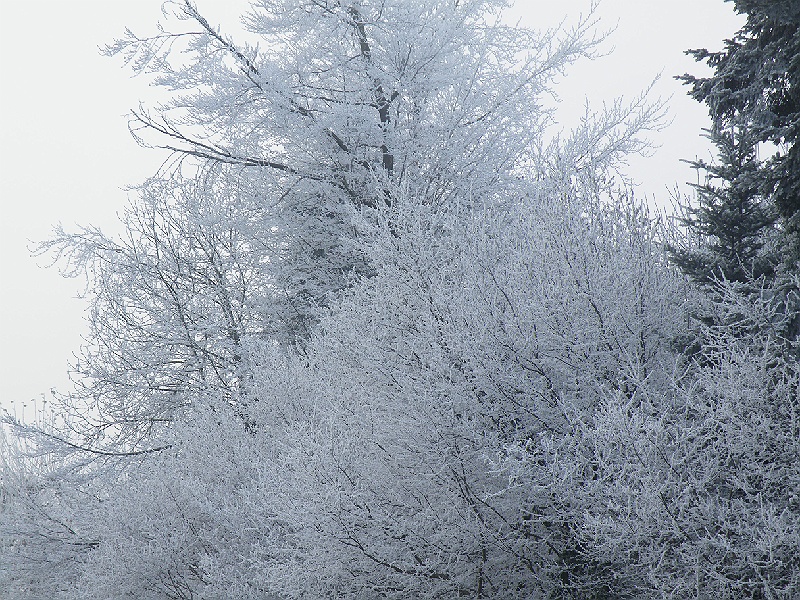 DSCF7315.JPG