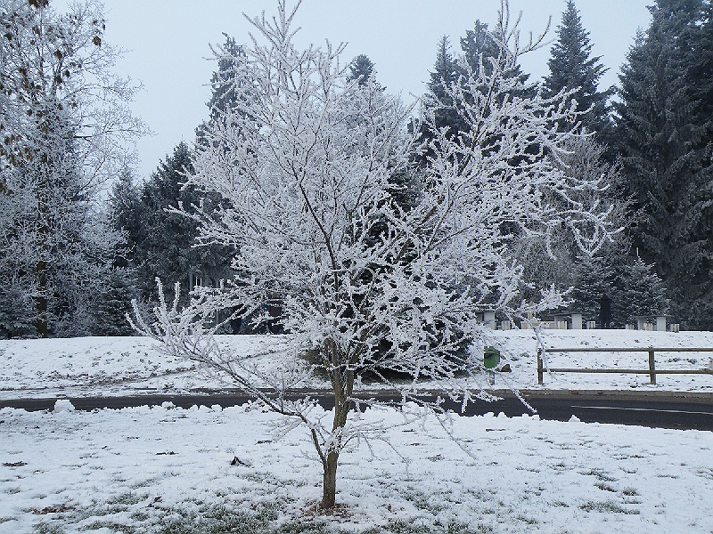 DSCF7318.JPG