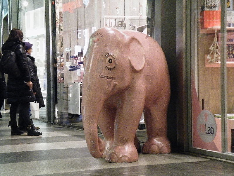 DSCF7367.JPG
