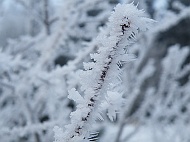 DSCF7316