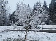 DSCF7318