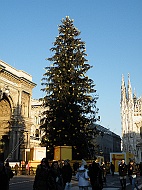 DSCF7323