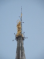 DSCF7359