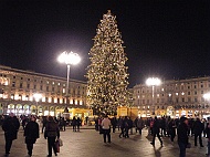 DSCF7382