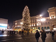 DSCF7386