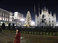 DSCF7390
