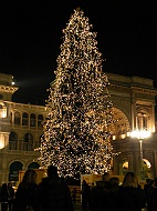 DSCF7413