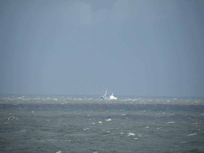 DSCF7025.JPG