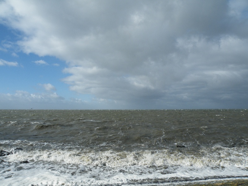 DSCF7027.JPG