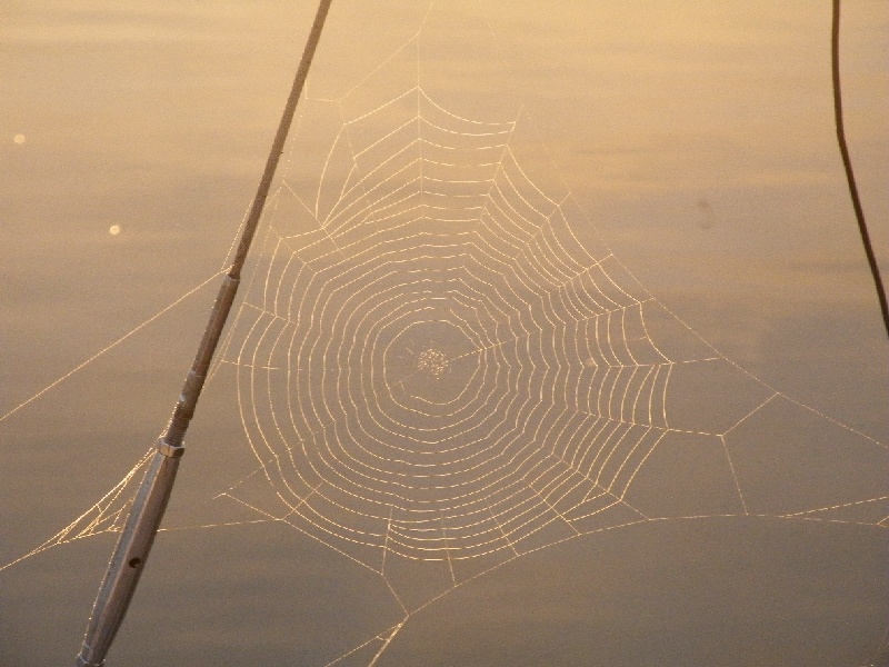DSCF7033.JPG