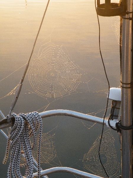DSCF7034.JPG