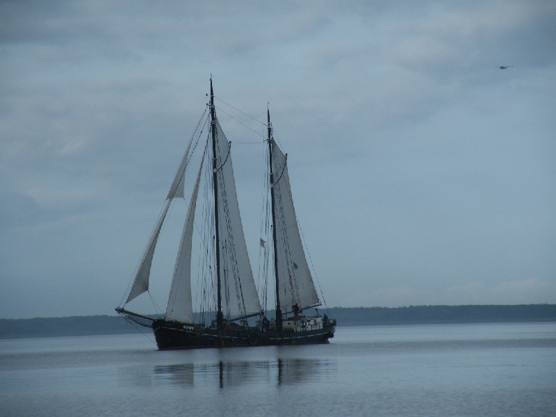 DSCF7050.JPG