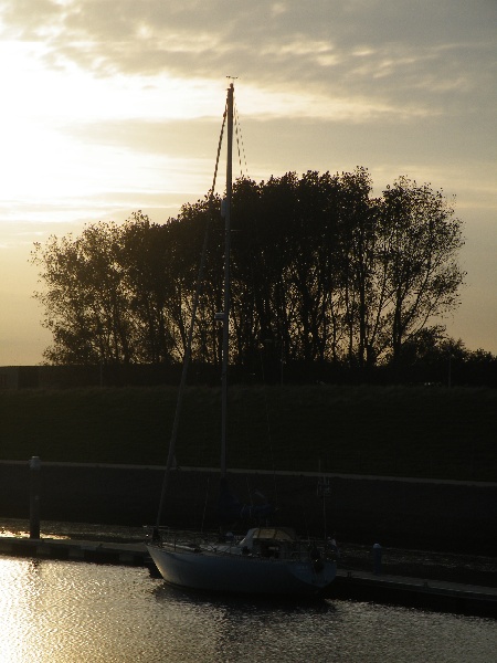 DSCF7074.JPG