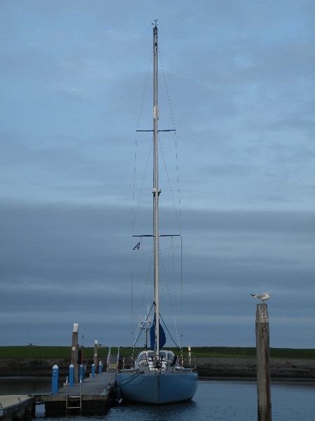DSCF7078.JPG