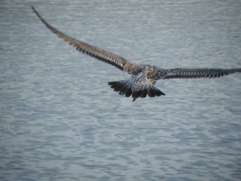 DSCF7079.JPG