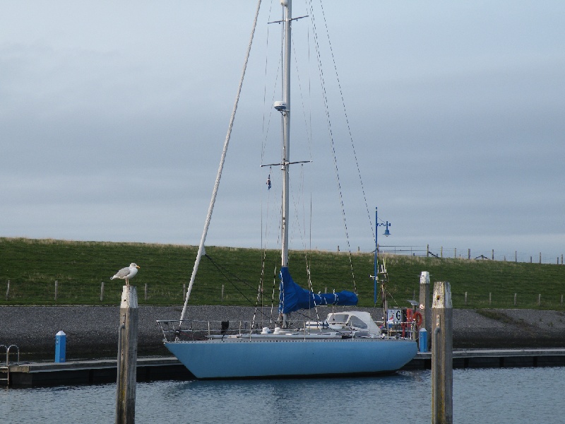 DSCF7080.JPG