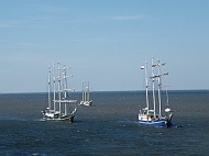 DSCF7011