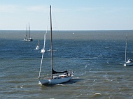 DSCF7014
