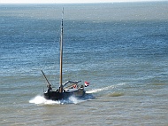 DSCF7019