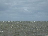 DSCF7029