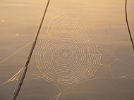 DSCF7033