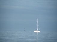 DSCF7040