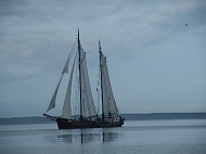 DSCF7050
