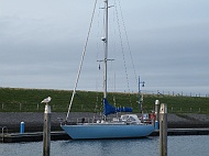 DSCF7080