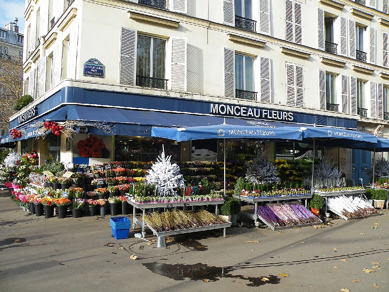 DSCF7274.JPG