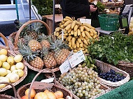 DSCF7259