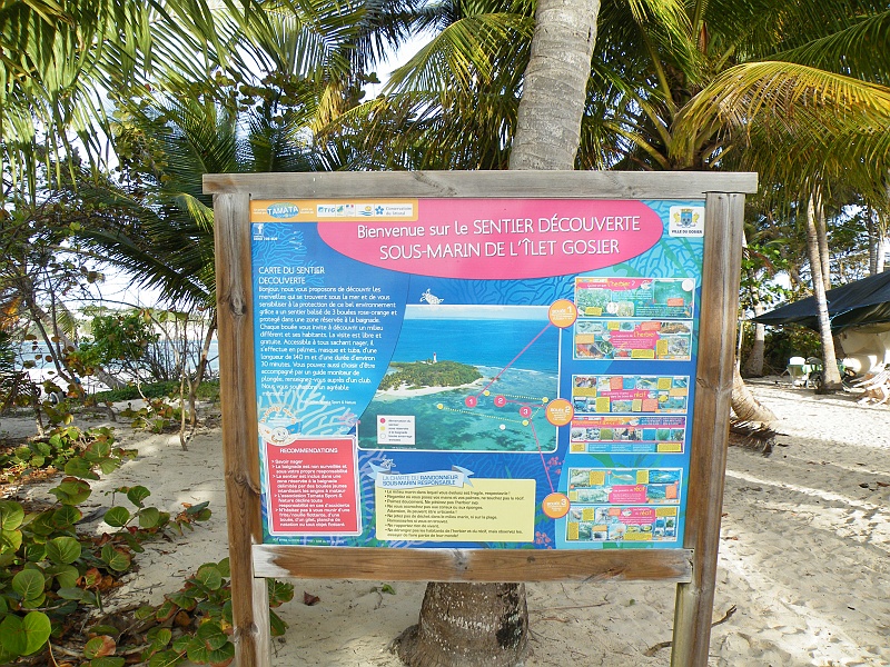DSCF7559.JPG