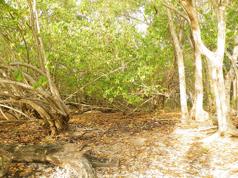 DSCF7568.JPG