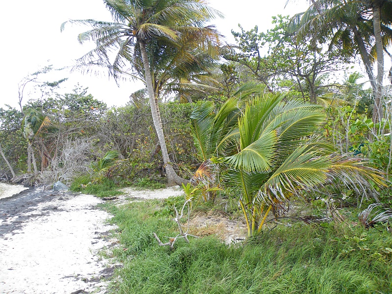 DSCF7573.JPG